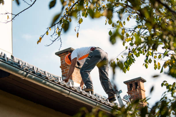 Best Chimney Flashing Repair  in La Huerta, NM