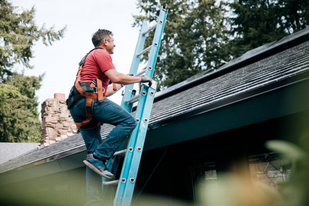 Best Rubber Roofing (EPDM, TPO)  in La Huerta, NM